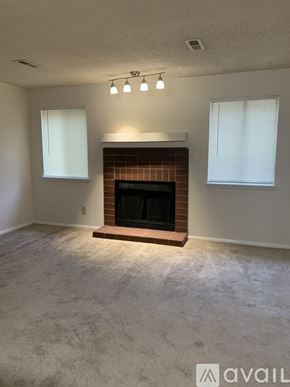 Huntsville apartment for rent - A living room with a fireplace and two windows.