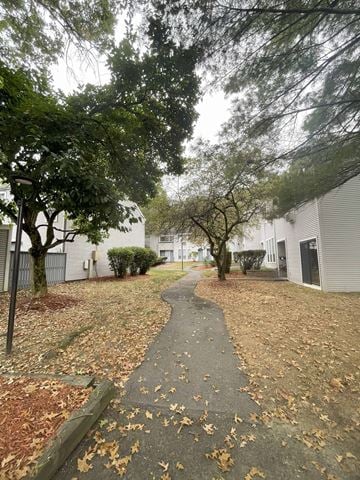 State College apartment for rent - A tree-lined path with fallen leaves on the ground.