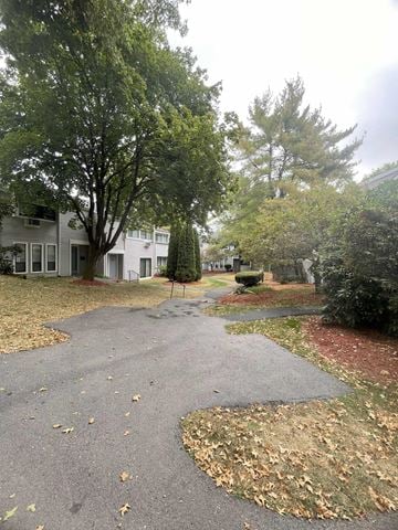 State College apartment for rent - A tree-lined street with a house on the left.