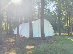 Langley apartment for rent - A white tent is set up in a wooded area.