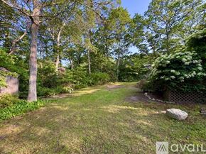 Brewster house for rent - A lush green garden with a pathway and trees.