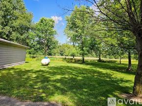 Columbia City house for rent - A grassy yard with trees and a shed.