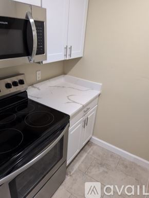 St. Petersburg apartment for rent - A kitchen with a stove top oven and microwave.