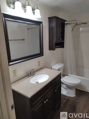Candler house for rent - A bathroom with a sink, toilet, and mirror.