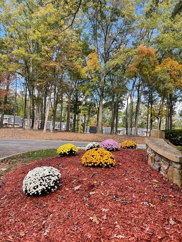 State College apartment for rent - A garden with red mulch and yellow and white flowers.