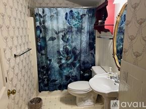 Wilson apartment for rent - A bathroom with a toilet, sink, and shower curtain.