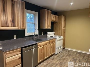 Louisa apartment for rent - A kitchen with wooden cabinets and a stainless steel dishwasher.