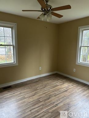 Louisa apartment for rent - A room with a ceiling fan and two windows.