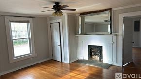 Louisa apartment for rent - A room with a fireplace and a ceiling fan.