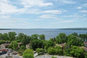Ottawa apartment for rent - A view of a lake from a high vantage point with trees and buildings in the foreground.
