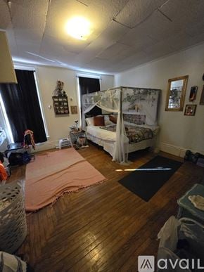 Kalamazoo apartment for rent - A bedroom with a bed and a canopy, a dresser, and a window with curtains.
