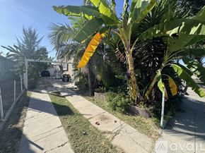 Compton house for rent - A pathway with a banana tree in the foreground.