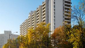 Toronto apartment for rent - A tall building with many windows is surrounded by trees with yellow leaves.