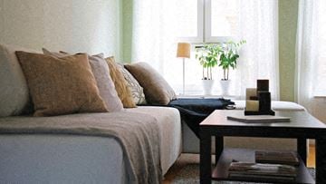 Toronto apartment for rent - A living room with a grey couch and a small table with a plant on it.