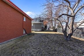 Edmonton apartment for rent - A red brick building with a tree in front of it.
