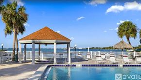 St. Petersburg house for rent - A pool area with a gazebo and palm trees.