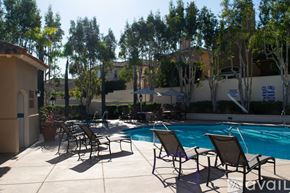 Camarillo house for rent - A pool surrounded by trees and chairs.