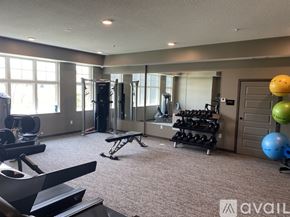 Minneapolis apartment for rent - A gym with a variety of equipment including weights and exercise balls.