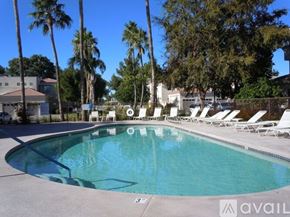Scottsdale condo for rent - A pool surrounded by palm trees and lounge chairs.