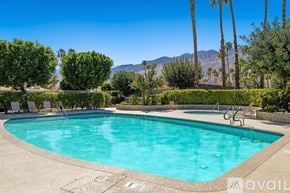 Palm Springs condo for rent - A swimming pool surrounded by palm trees and bushes.
