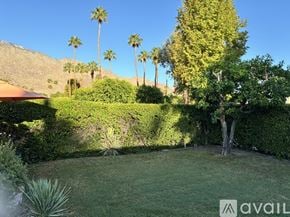 Palm Springs condo for rent - A garden with a tree, hedges and palm trees.