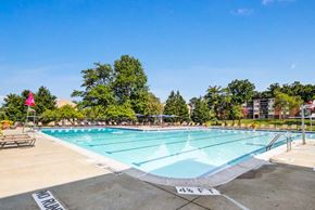 Silver Spring apartment for rent - A swimming pool with a clear blue sky above it.