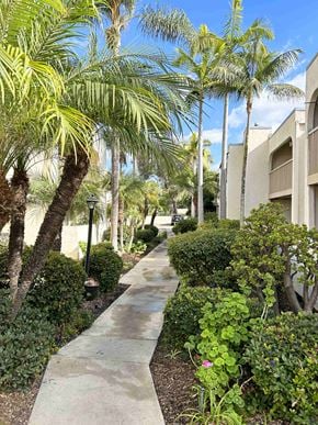 San Diego apartment for rent - A walkway with a concrete surface is lined with green plants and trees.