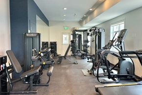 Edmonton apartment for rent - A gym with a variety of equipment including treadmills, weights, and exercise machines.