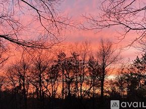 Port Austin house for rent - A beautiful sunset with trees silhouetted against the sky.
