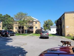 Belleville apartment for rent - A dog is walking in a parking lot with cars and buildings in the background.