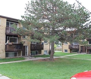 Belleville apartment for rent - A tree in front of apartment buildings.