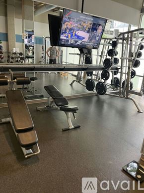 Denver apartment for rent - A gym with a bench, weights, and a television.