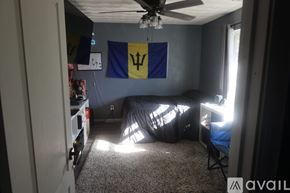 Norfolk house for rent - A room with a ceiling fan, a TV, a flag, and a bed.