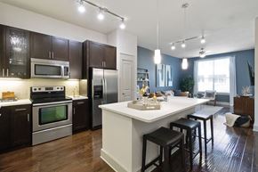 Dallas apartment for rent - The Icon at Ross features stainless steel appliances - Apartments in Deep Ellum