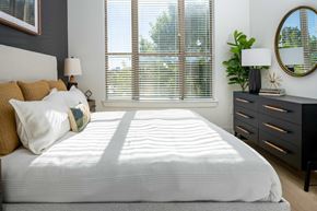 Dallas apartment for rent - Renovated Apartments in Dallas, TX - Strata - natural sunlight