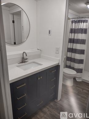 Clearwater apartment for rent - A bathroom with a sink, toilet, and striped shower curtain.