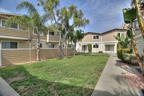 Mountain View apartment for rent - A sunny day at a residential area with houses and greenery.