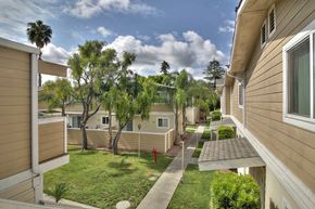 Mountain View apartment for rent - A sunny day in a residential area with houses and trees.