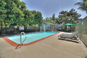 Mountain View apartment for rent - A pool surrounded by trees and a fence with a sign on it.