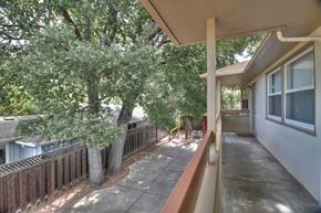 Menlo Park apartment for rent - A patio with a white wall and a tree in the middle.