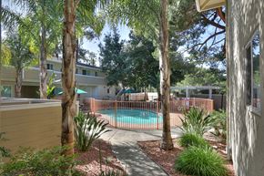 Los Altos apartment for rent - A pool surrounded by trees and plants.