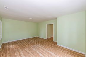 Jacksonville house for rent - A room with wooden flooring and green walls.