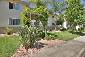 Mountain View apartment for rent - a sidewalk in front of the building with a garden