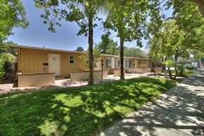 Palo Alto apartment for rent - A row of houses with green trees in front.