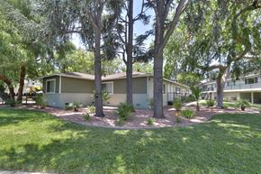 Mountain View apartment for rent - A grassy area in front of a building with trees.