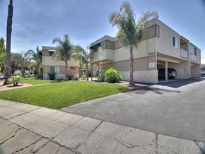 Sunnyvale apartment for rent - A building with the number 953 on it is surrounded by palm trees.