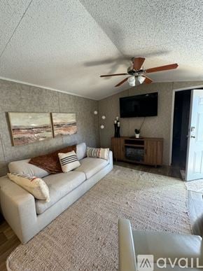 Selma apartment for rent - A living room with a couch, a television, and a ceiling fan.