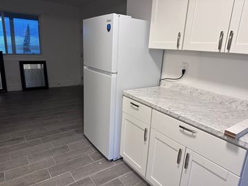 Kailua-Kona apartment for rent - A white fridge in a kitchen with a marble counter top.