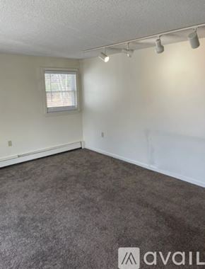 Bangor apartment for rent - A room with grey carpet and a window.