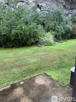 Prestonsburg apartment for rent - A grassy area with trees and a rocky cliff in the background.